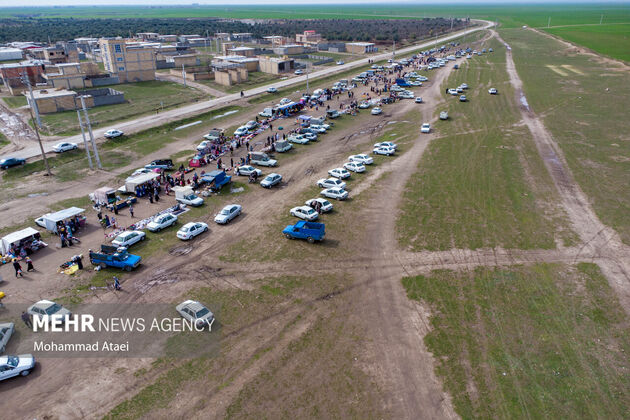 4074226_DJI_0029