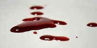 جنایت وحشتناک به علت زیاد بودن سُس مایونز ساندویچ + فیلم