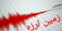 ترکیه لرزید