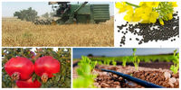 مهم‌ترین چالش پیش‌روی صادرات محصولات کشاورزی