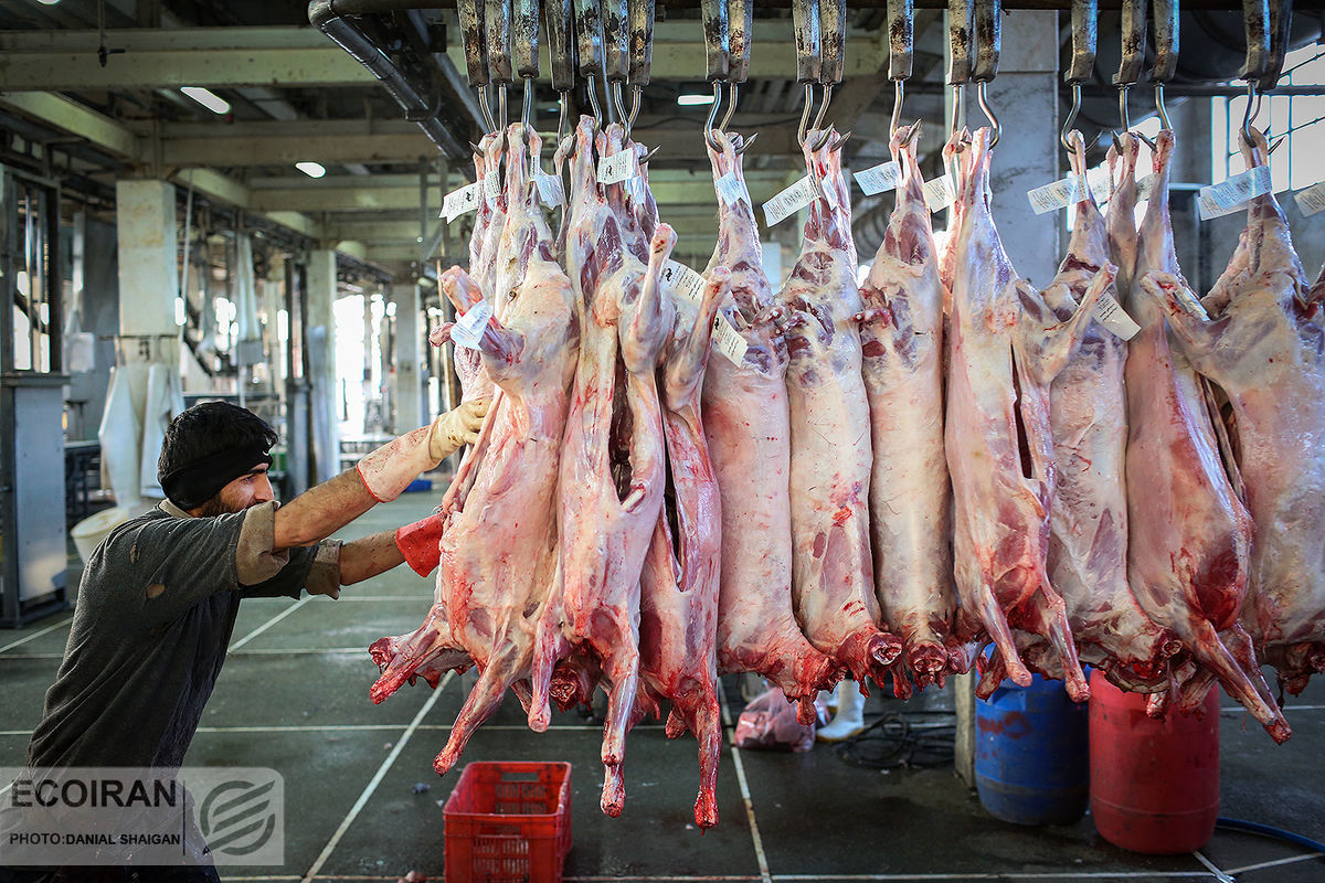 پشت پرده افزایش شدید قیمت گوشت