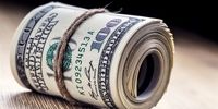 دام «ارز ارزان» برای خریداران/ دلارهای تقلبی بازار را فرا گرفت