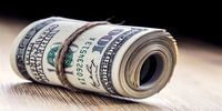 دام «ارز ارزان» برای خریداران/ دلارهای تقلبی بازار را فرا گرفت
