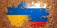 اولین کشتی حامل غلات اوکراین در سواحل استانبول پهلو گرفت