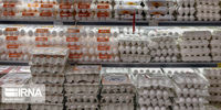 واردات، ترمز گرانی تخم مرغ را کشید