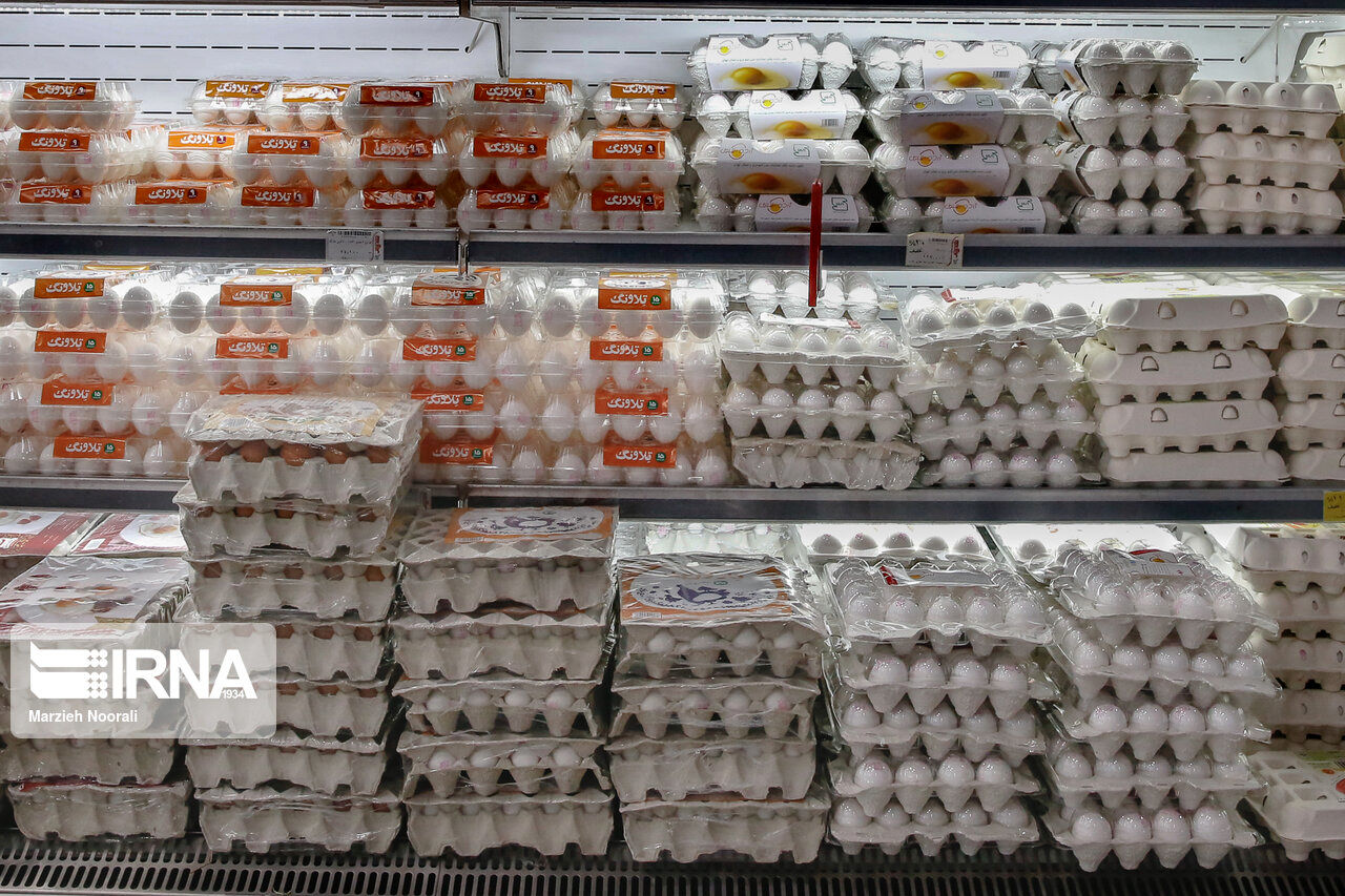 واردات، ترمز گرانی تخم مرغ را کشید