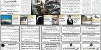 یکسان سازی نرخ ارز و هدفمند کردن یارانه محورهای بودجه ۱۳۸۱
/قیمت خانه باغ در آبسرد دماوند

