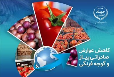 کاهش عوارض صادراتی پیاز و گوجه فرنگی 