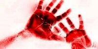 جنایت هولناک در میهمانی شبانه / کشف پیکر خونین در وسط باغ