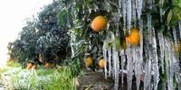 سردترین شهر ایران در 24 ساعت گذشته با دمای منفی 27 درجه