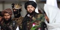 سوءقصد به جان وزیر دفاع طالبان در یک حمله انتحاری

