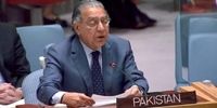 پاکستان از دستیابی تی‌تی‌پی به سلاح‌های آمریکایی نگران شد