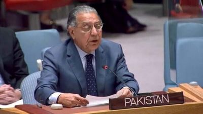 پاکستان از دستیابی تی‌تی‌پی به سلاح‌های آمریکایی نگران شد