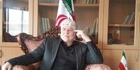 محمد هاشمی: عده‌ای در حادثه‌ تروریستی اخیر از آب، کَره گرفتند