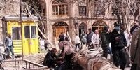 حادثه وحشتناک در اثر وزش تندباد / سقوط درخت روی یک شهروند 