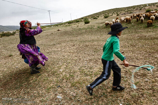 زندگی عشایر مغان در دامنه سبلان