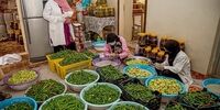تصاویر| وضعیت نامناسب مشاغل در افغانستان


