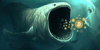 یک نهنگ، بیت کوین را صعودی کرد /اتریوم عقب ماند