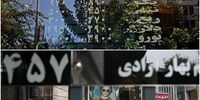 خطر خرید کدام سکه بالا است؟