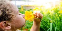 از دست دادن حس بویایی را جدی بگیرید