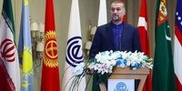 امیرعبداللهیان: تقویت همکاری‌ها با اکو خواست ایران است
