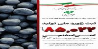 مجتمع فولاد غدیر نی ریز، رکورددار تولید آهن اسفنجی با تکنولوژی ایرانی Pred در کشور