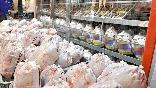 دلیل افزایش قیمت مرغ اعلام شد
