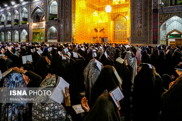 57882278_alireza-masumi-1