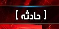 مرگ دانشمند ایرانی +جزییات حادثه