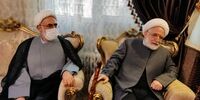 دیدار مهدی کروبی با منتجب نیا +تصاویر