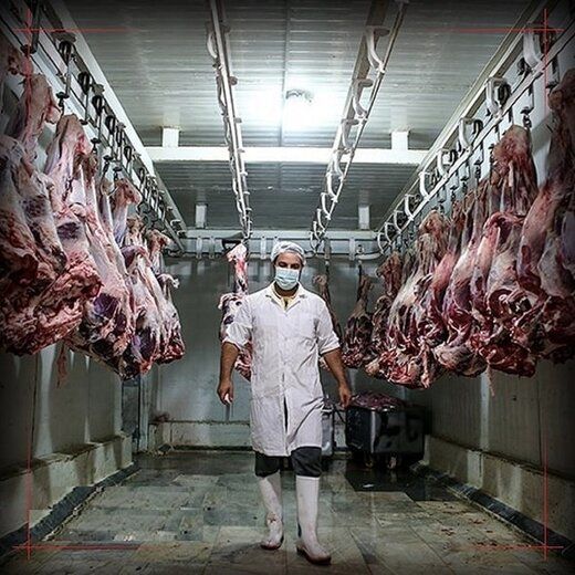 مقایسه مصرف سالانه گوشت در ایران و جیبوتی