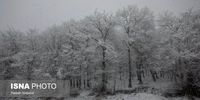 برف و باران در راه 28 استان کشور/ هشدار زرد صادر شد