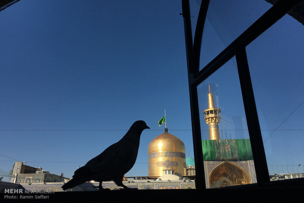 نمونه‌ای از دستخط امام رضا(ع) + عکس