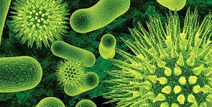 تغییر شکل باکتری ها برای فرار از درمان‌های دارویی