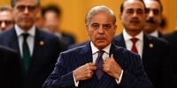 اظهارات شهباز شریف بعد از مذاکرات سوئیس/ امیدواریم وقتی به خانه‌هایمان برگردیم، سند فوق‌العاده‌ای در دست داشته باشیم