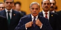 اظهارات شهباز شریف بعد از مذاکرات سوئیس/ امیدواریم وقتی به خانه‌هایمان برگردیم، سند فوق‌العاده‌ای در دست داشته باشیم
