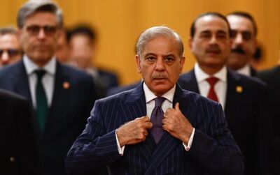 اظهارات شهباز شریف بعد از مذاکرات سوئیس/ امیدواریم وقتی به خانه‌هایمان برگردیم، سند فوق‌العاده‌ای در دست داشته باشیم