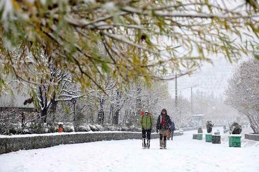 برف و کولاک در راه تهران/ پایتخت یخ می زند