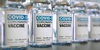 لیست کشورهای پیشرو در واکسیناسیون علیه کرونا+اینفوگرافی