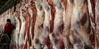 هشدار نسبت به بروز تب کشنده کریمه کنگو 