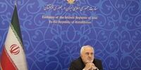 ظریف: آماده همکاری با کشورهای دی ۸ هستیم