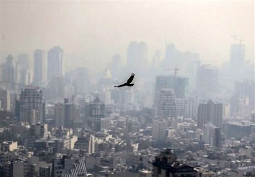 هشدار؛ آلودگی هوا باعث ابتلا به این بیماری کشنده می شود