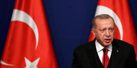 اردوغان: قانون اساسی جدید مبتنی بر نظام ریاست جمهوری خواهد بود
