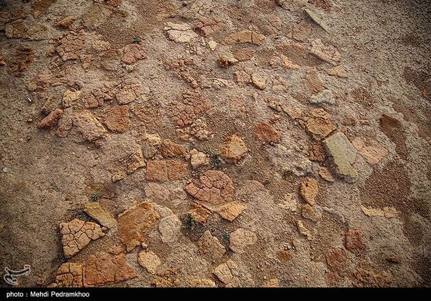 image14