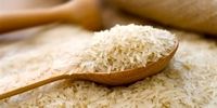 پشت پرده گران شدن برنج از زبان یک نماینده مجلس