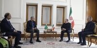 سومین سفر وزیر کشور پاکستان به ایران در طی یک ماه/ نقوی با عراقچی دیدار کرد