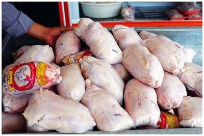 قیمت گوشت مرغ و گوشت قرمز امروز پنجشنبه 9 فروردین 1403/ دام زنده گران شد + جدول 3