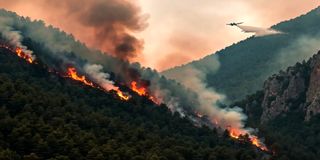 3 متهم اصلی آلودگی هوا در شمال کشور | درویش: آتش‌سوزی جنگل‌های هیرکانی ابتدا جدی گرفته نشد | مطالبه ما باید قانون هوای پاک باشد