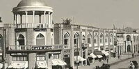 جنجال یک میمون در کلانتری تهران+عکس