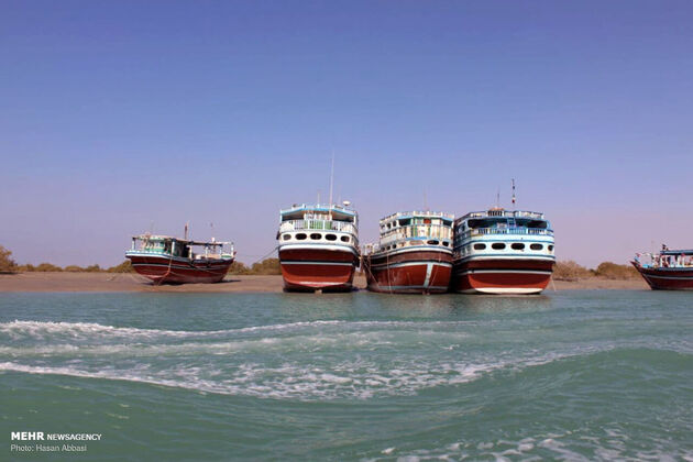 3776496_photo_2021-05-21_02-54-08-2-
